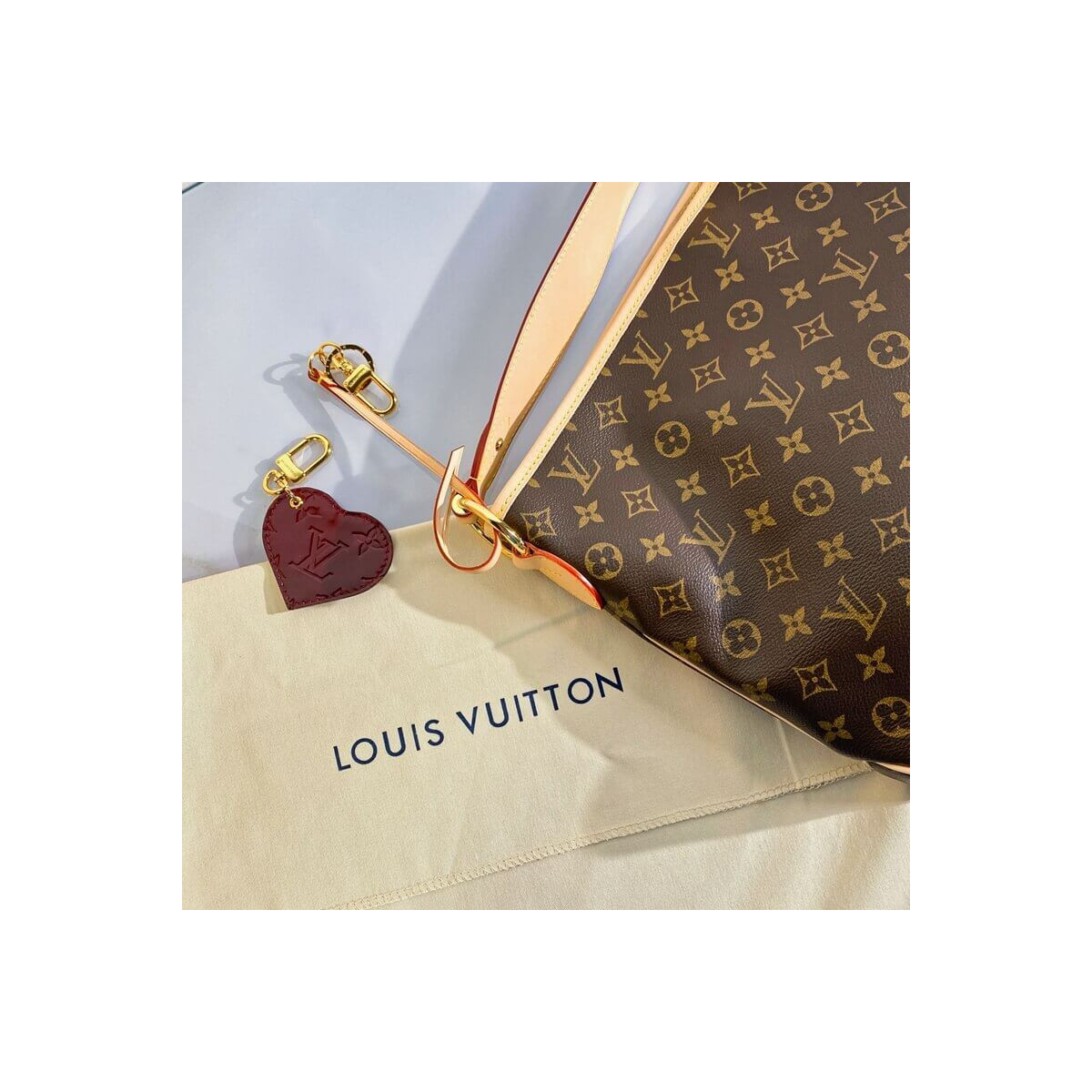 Louis Vuitton Monogram Canvas Delightful MM M50156