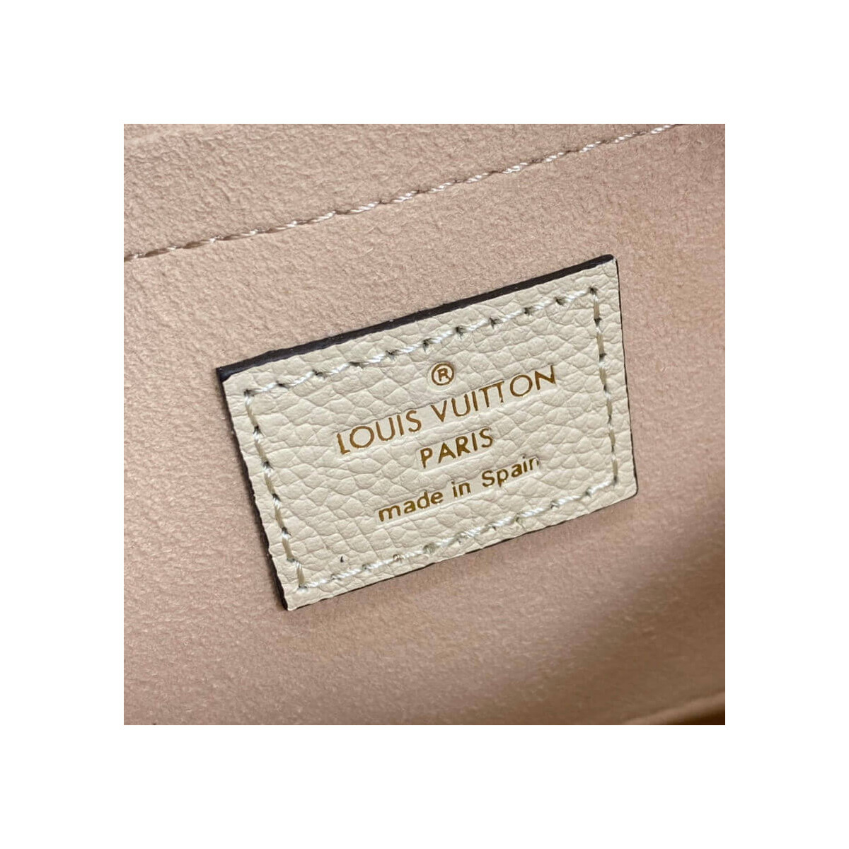 Louis Vuitton Bicolor Multi Pochette Accessoires M45777