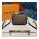 Louis Vuitton Damier Ebene Canvas Santa Monica N40178