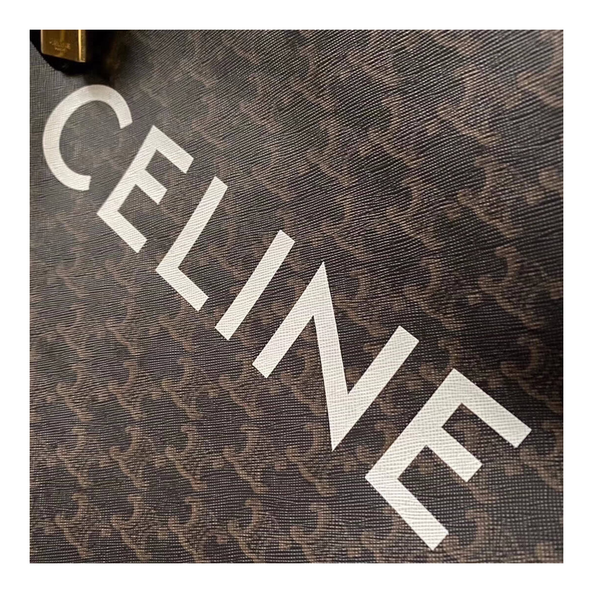 Celine Vertical Cabas Celine In Triomphe Canvas 190972