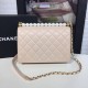 Chanel Pearl Chain Flap Bag  AS0585