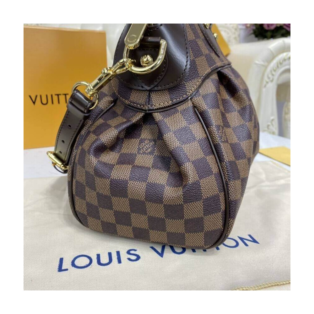 Louis Vuitton Damier Ebene Trevi PM N51197