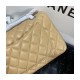 Chanel Small Classic Double Flap Bag A01113 in Lambskin