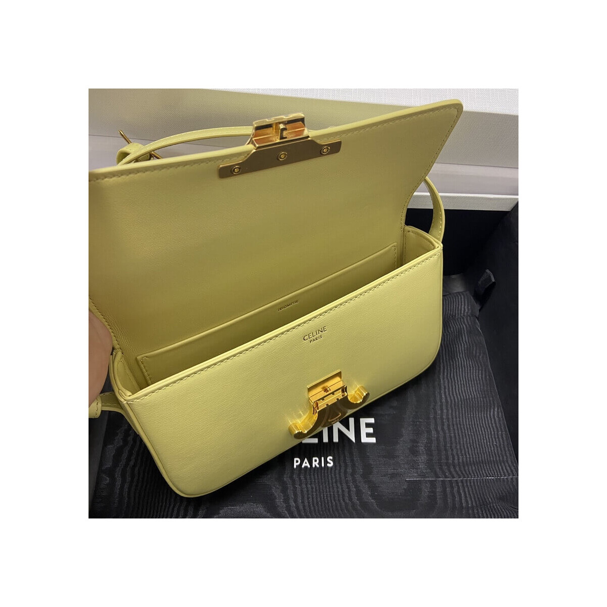 Celine Triomphe Shoulder Bag In Natural Calfskin 194143