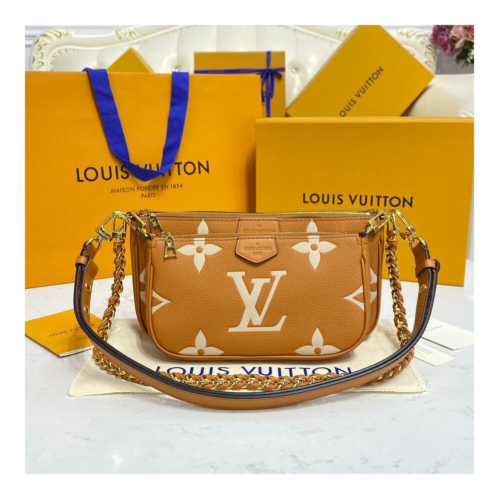 Louis Vuitton Bicolor Multi Pochette Accessoires M45777