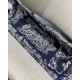 Dior Small Book Tote Blue Toile de Jouy Reverse Embroidery M1296