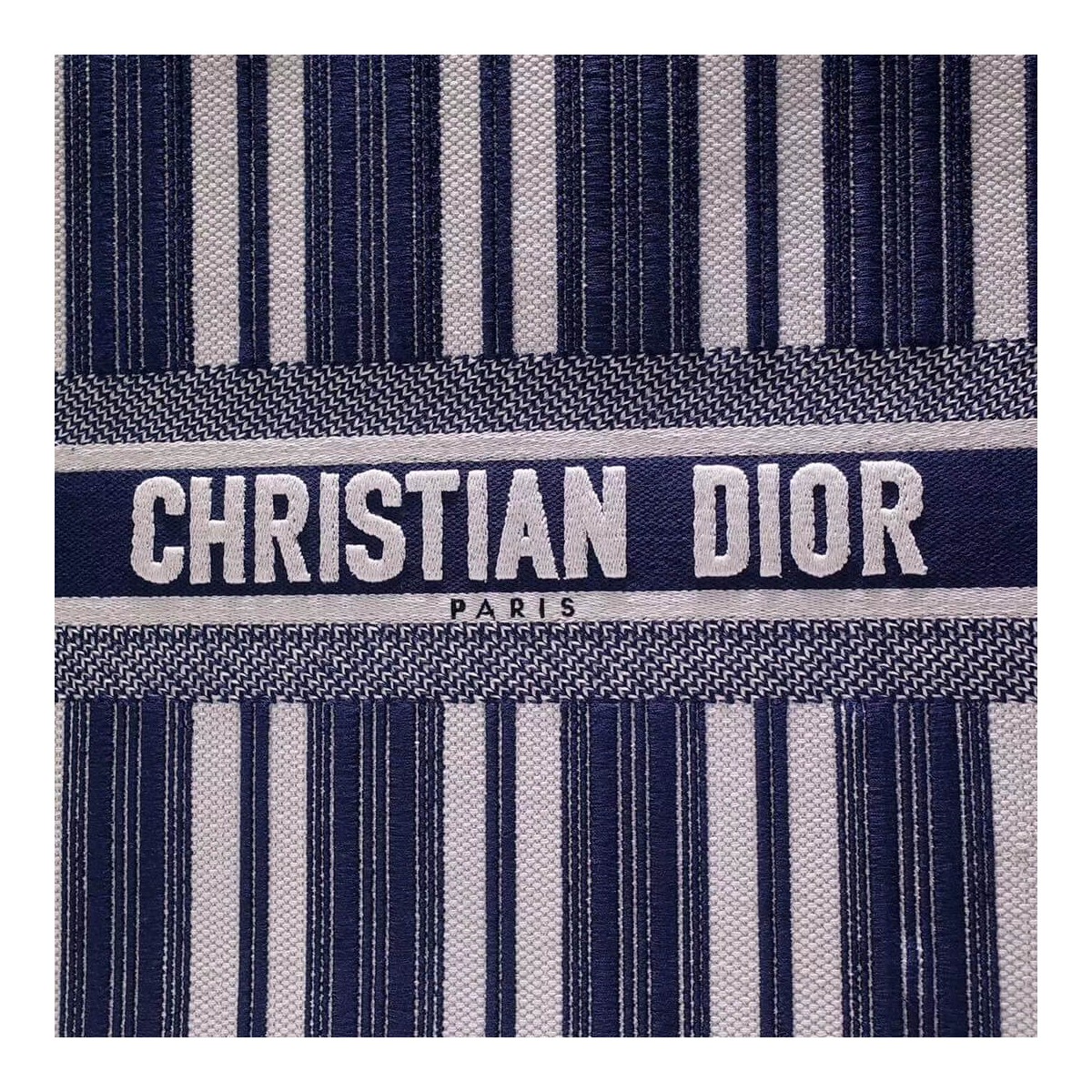 Christian Dior Book Tote Bag M1286