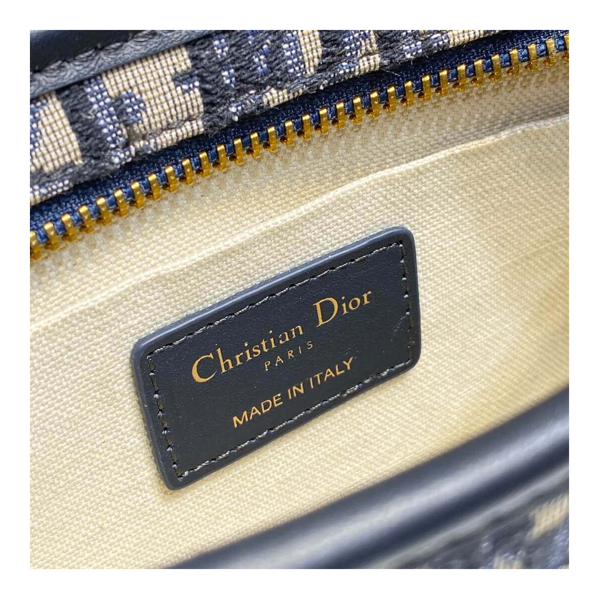 Christian Dior Oblique Camera Bag S5700