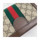 Gucci Ophidia Mini Shoulder Bag 602676