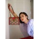 Gucci GG Apple Print Small Shoulder Bag 498156