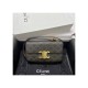 Celine Triomphe Shoulder Bag In Triomphe Canvas and Calfskin 194142