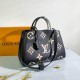 Louis Vuitton LV Crafty Montaigne MM M41048