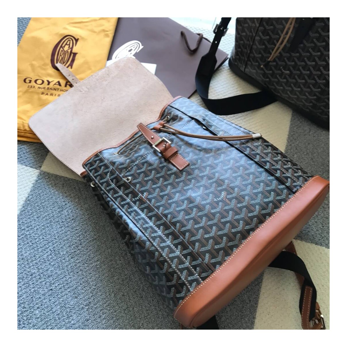 Goyard Calfskin Alpin Backpack 169555