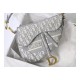 Christian Dior Oblique Saddle Bag M0446