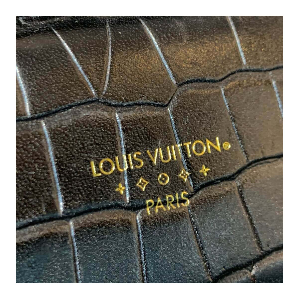 Louis Vuitton Crocodile Embossed LV Pont 9 M55950