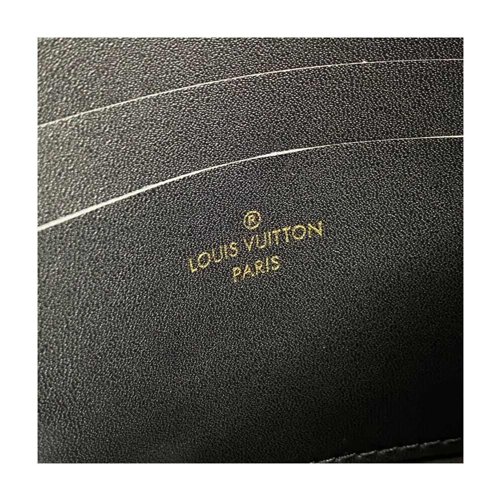 Louis Vuitton Monogram Double Zip Pochette M69203