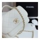 Chanel Quilted Caviar Leather Small Business Affinity Bag A93749