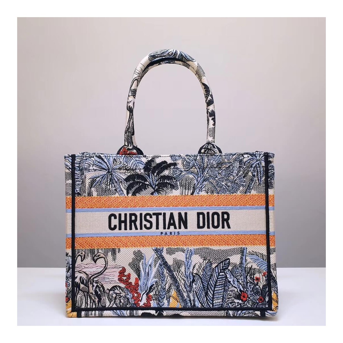 Christian Dior Small Book Tote In Embroidered Canvas M1296