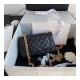 Chanel Resin Flap Bag AS2380