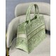 Dior Small Book Tote Lime Toile de Jouy Reverse Embroidery M1296