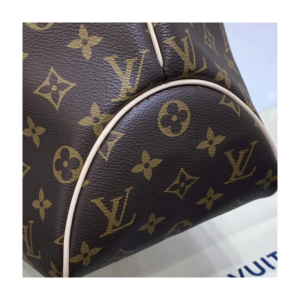 Louis Vuitton Delightful MM (Old Type) Shoulder Bag M40353