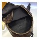 Louis Vuitton Monogram Canvas Palm Springs Backpack MM M41561