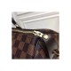 Louis Vuitton Damier Ebene Canvas Speedy 25 N41365