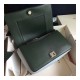 Celine Frame Medium Shoulder Bag 180263 Dark Green/Light Green