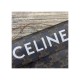 Celine Triangle Bag In Triomphe Canvas With Celine Print 195902