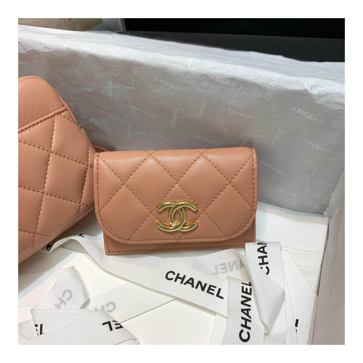 Chanel Waist Bag With Pouch AP1192