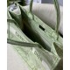 Dior Small Book Tote Lime Toile de Jouy Reverse Embroidery M1296