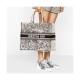 Dior Book Tote in Latte Multicolor Zodiac Embroidery M1286