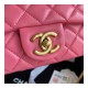 Chanel Resin Flap Bag AS2380