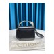 Chloe C Mini Bag In Embossed Croco A873